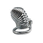 Metal Bird Cage Chastity Device.